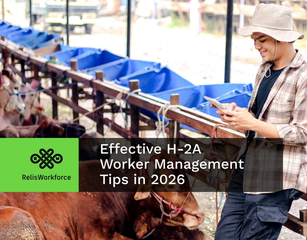 h2a visa management